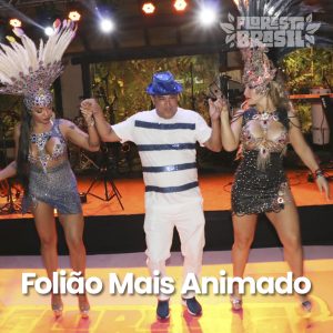 post_foliao_mais_animado